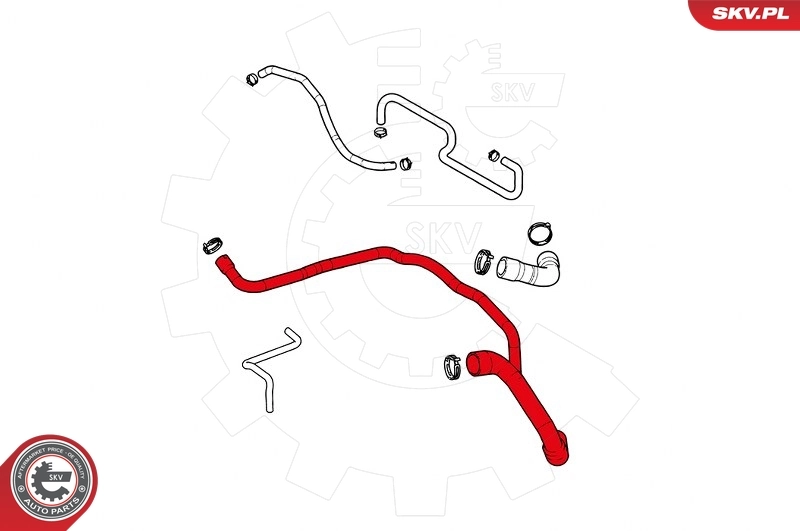 Radiator Hose